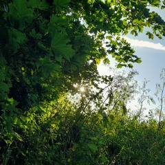 Swedish House Mafia - Don't You Worry Child- Slower Ballad Cover