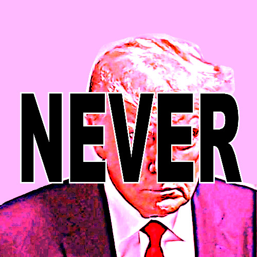 NeverNeverNever_djTmc_instrumental_no_drums