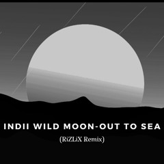 Indii Wild Moon - Out To Sea (RiZLiX Remix)