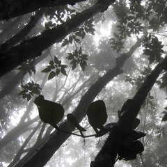 fragments of air