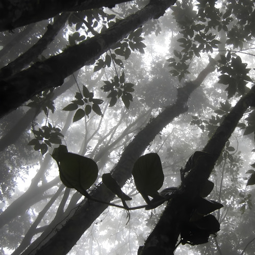 fragments of air