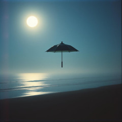 Shadows And The Light