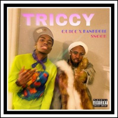 Triccy (feat. Bankroll Snook)