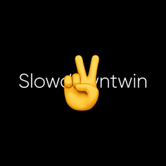 payem - SlowDownTwin