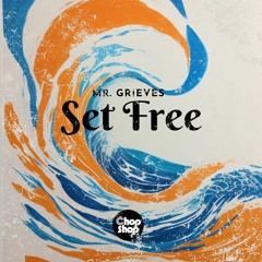 Mr Grieves - Set Free (Original Mix)