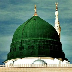 يا إمام الرسل يا سندي - أنس السلطان
