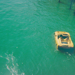 Pissing In The Breeze