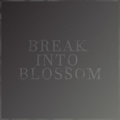 Break Into Blossom - Others / The Random Nothing I