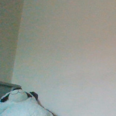 wranoutfobudgetiforthenfestoftheisscenexdxsou