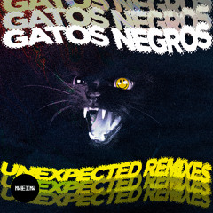 Gatos Negros - Ceremony (Thaddeus X Remix) Nein Records
