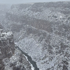 Cold