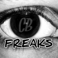Chornobrivt$y - Freaks(guitar cover)