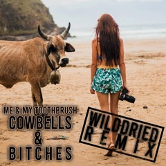 Me & My Toothbrush - Cowbells & Bitches (Wilddried Bootleg)