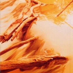Stream Depths by Windy & Carl | Listen online for free on