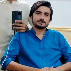 Rab Waris Sahir Ali Bagga