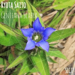 Gentiana Scabra - Halted Instant Remix