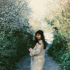 La Vie En Rose (cover)