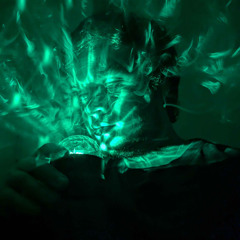 Matthew From The Bible