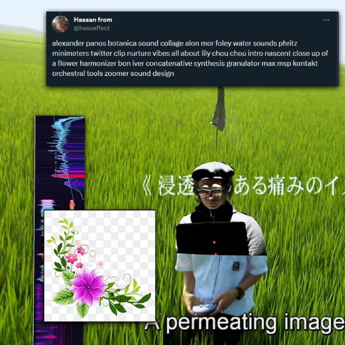 emotional zoomer idm