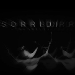 SORRIDI - You Smile- (Theme Version)