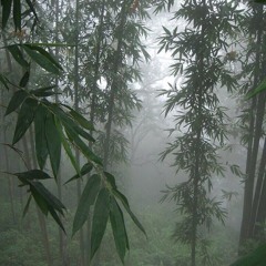 said it (prod. navey & animawav)