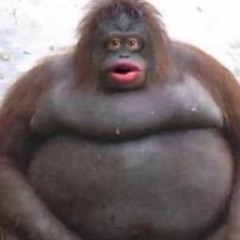 KODAKxDRIFTER (1:00 start)