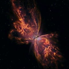 Butterfly Nebula(2024)🦋