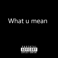 what u mean (prod. 4096)