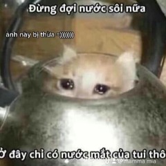 vina