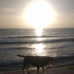 Strong Wind / I Just Close My Eyes