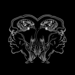 About:kaos - Quarantine [Premiere I NFRBD12]