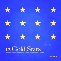 12 GOLD STARS [TECH HOUSE* MIX]