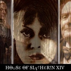House Of Slytherin XIV