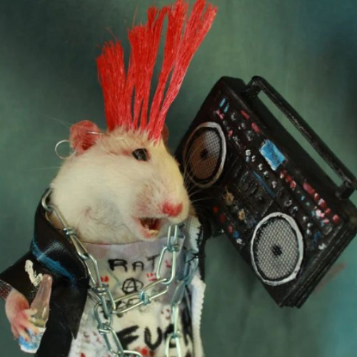 Stream rat rave [iinvrt] #strepkut✂️ #888👁️ by INVRT