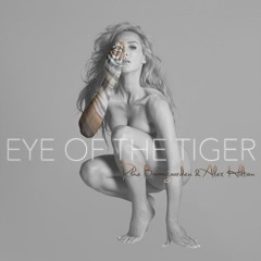 Eye Of The Tiger (Alex Hilton Remix Edit)