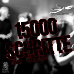 BRiSSY - 15000 Schritte (Remix) feat. ELJAS