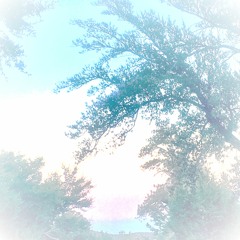 see you shine