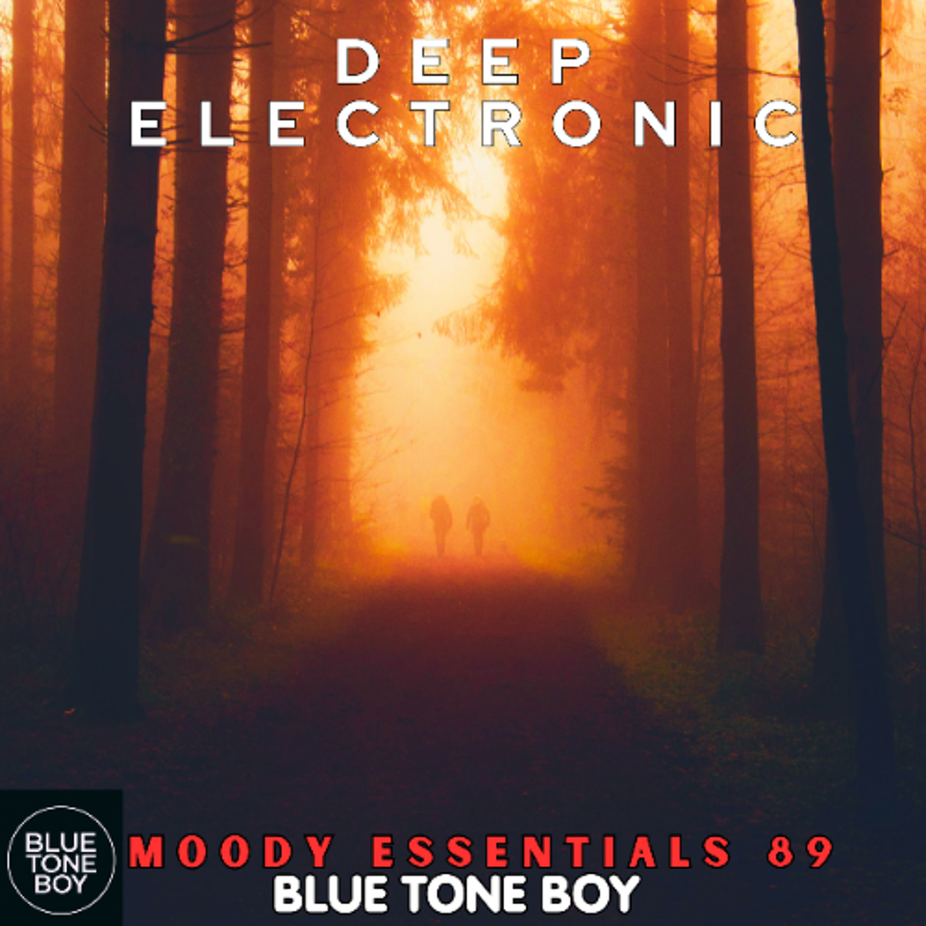 Moody Essentials 89 ~ #DeepElectronic Mix