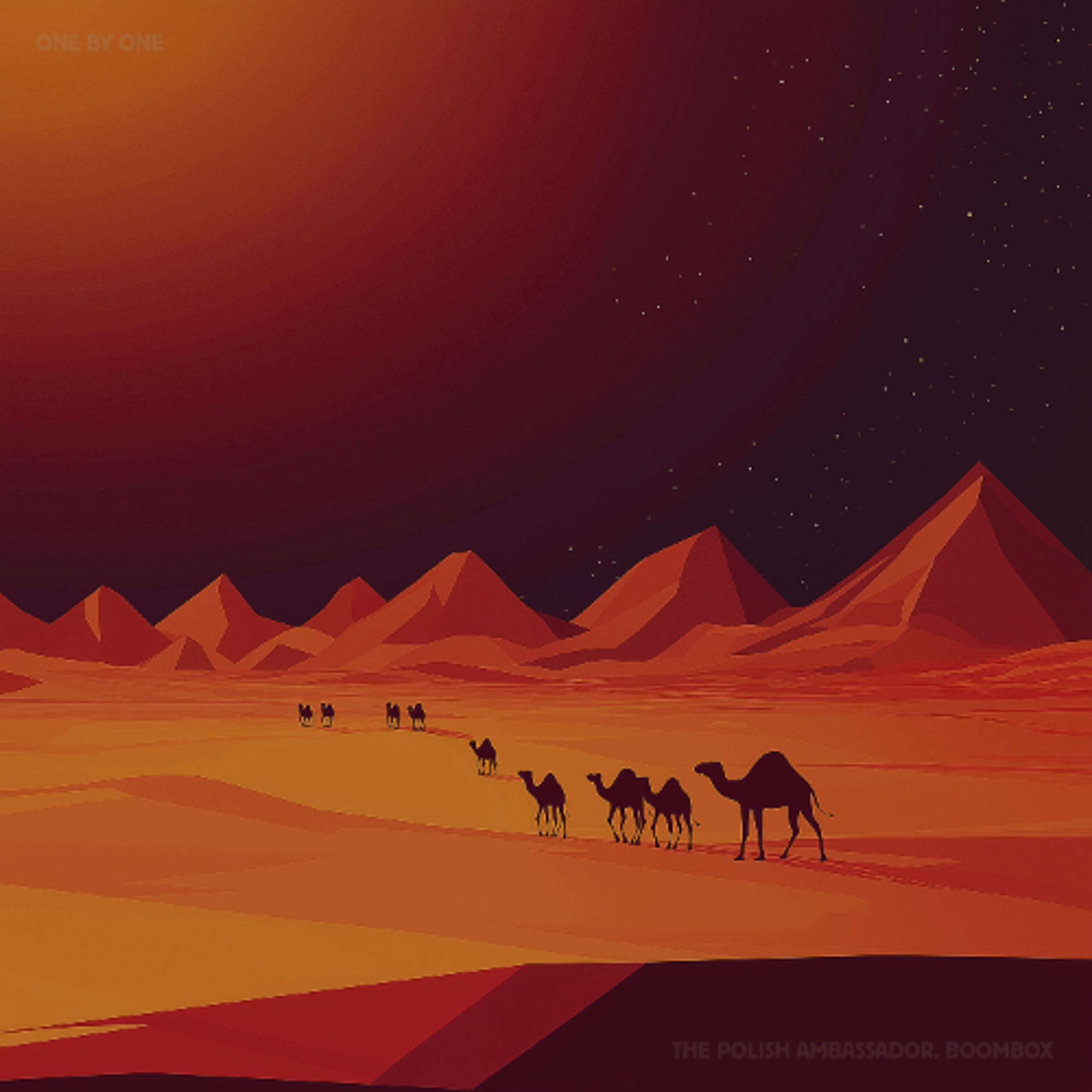 The Polish Ambassador