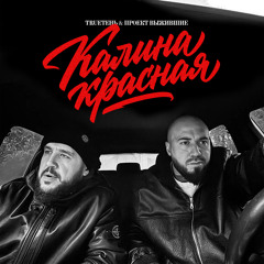 Калина красная