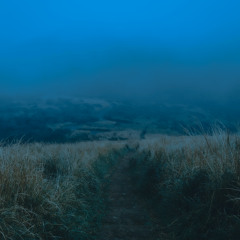 mylesxiety 37