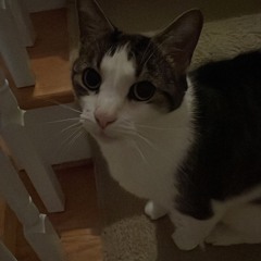 numb #takenworld 💊🙄💀