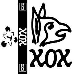 What We – XOX