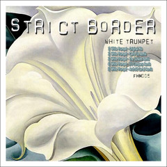 White Trumpet (The Junkies Remix)