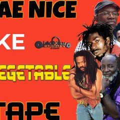 REGGAE NICE LIKE FRESH VEGETABLE MIXTAPE Feat TONY REBEL,GARNETT SILK,BERES HAMMOND,SANCHEZ,HALF PIN