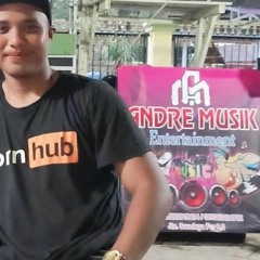 DUMES DISCO -ARVIN SAMOL X ANDRE MUSIK