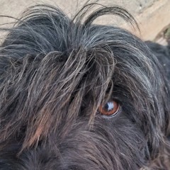 zeuls - Cadê Você_ (feat. NIYCO)(MP3_160K).mp3