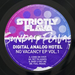 Digital Analog Hotel - Come On Over