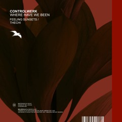 CONTROLWERK - Where Have We Been (Original Mix)