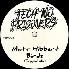 Matt Hibbert - Birds (Original Mix) TNP:001